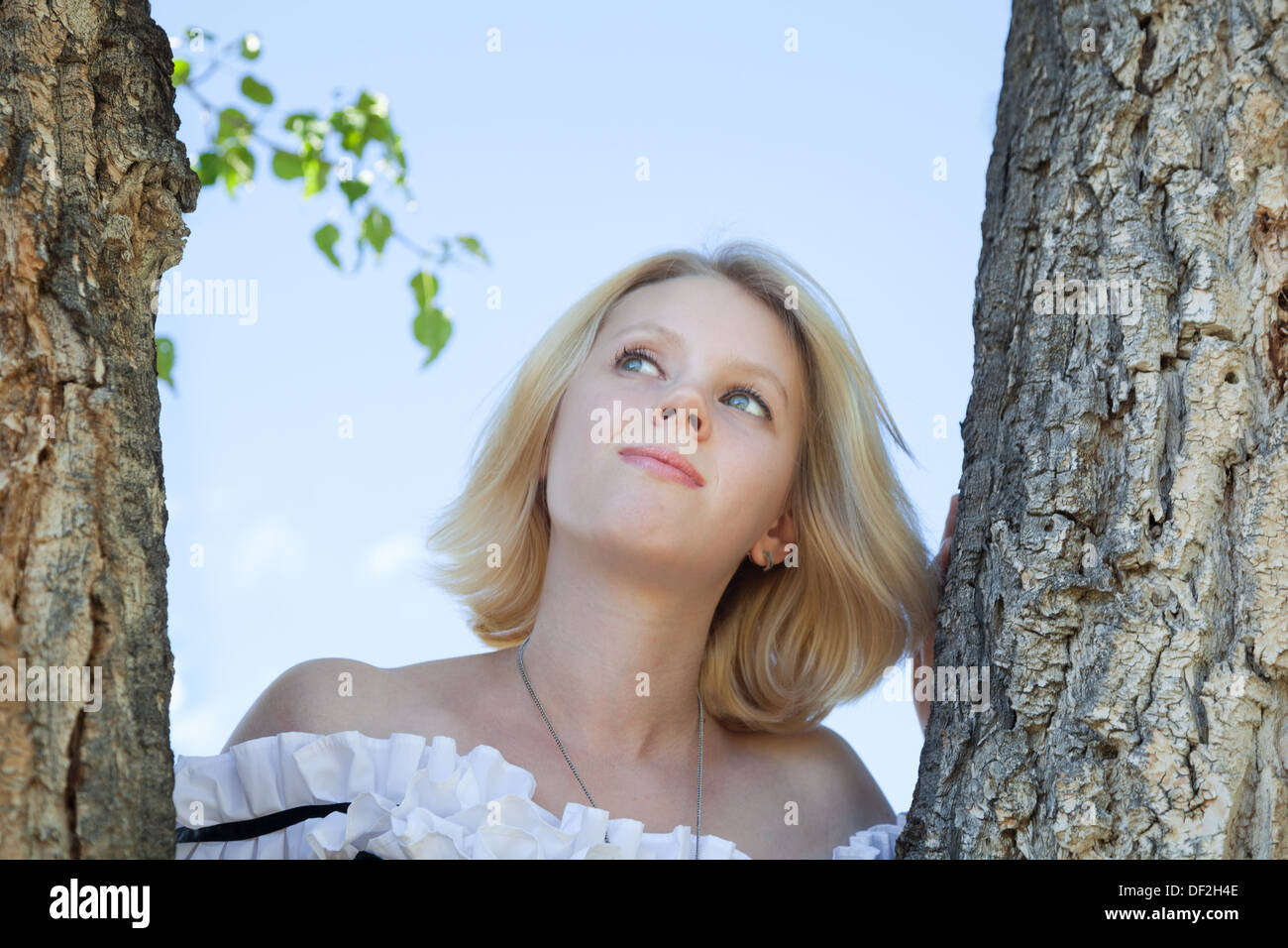 hübsche blonde Mädchen im Freien von Bäumen in Montana Sommer Stockfoto