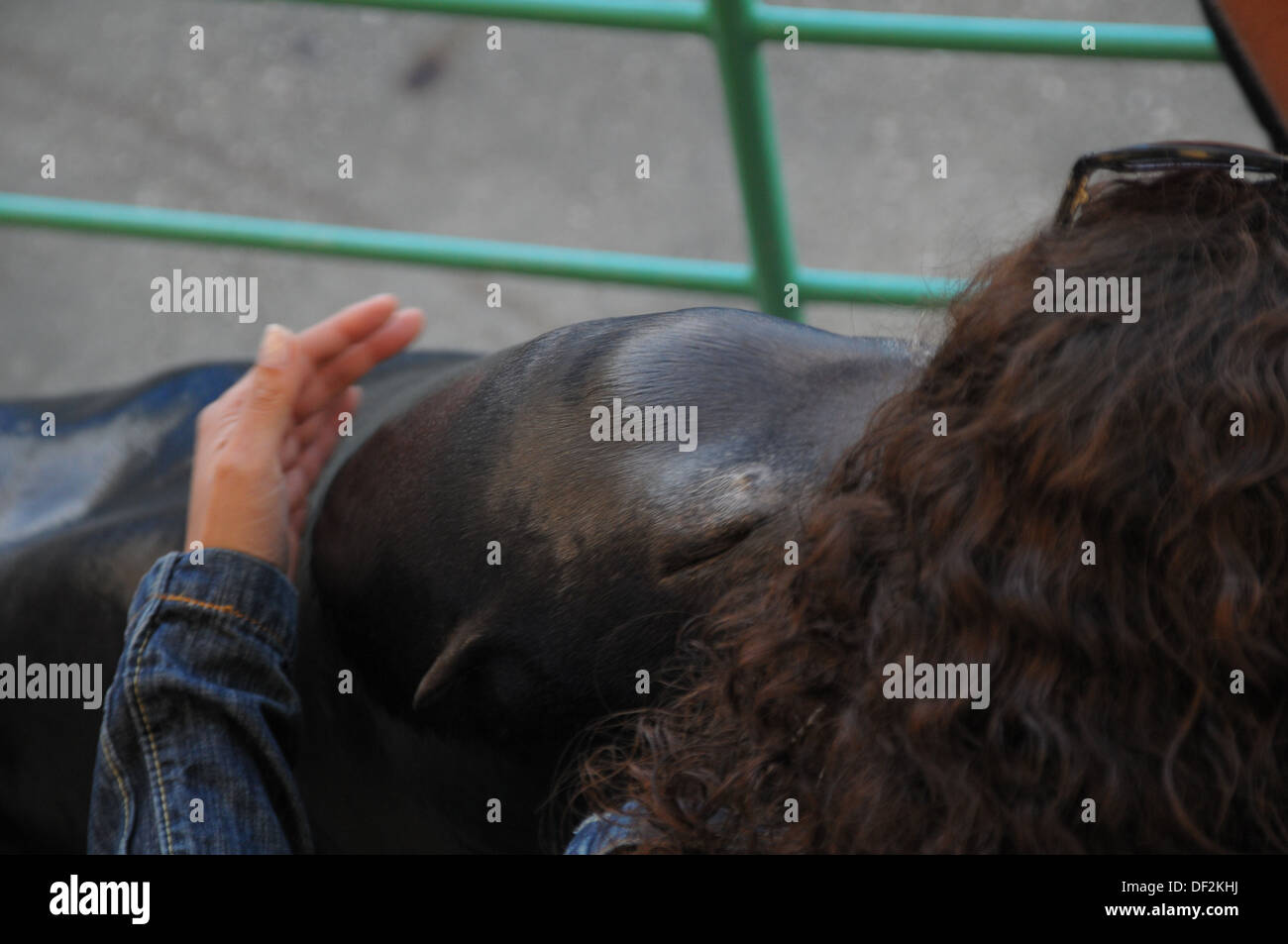 Zoo von Lissabon PORTUGAL Stockfoto