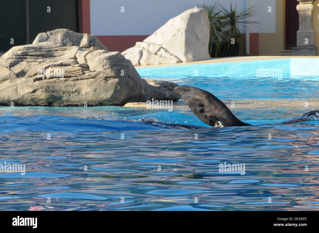 Zoo von Lissabon PORTUGAL Stockfoto