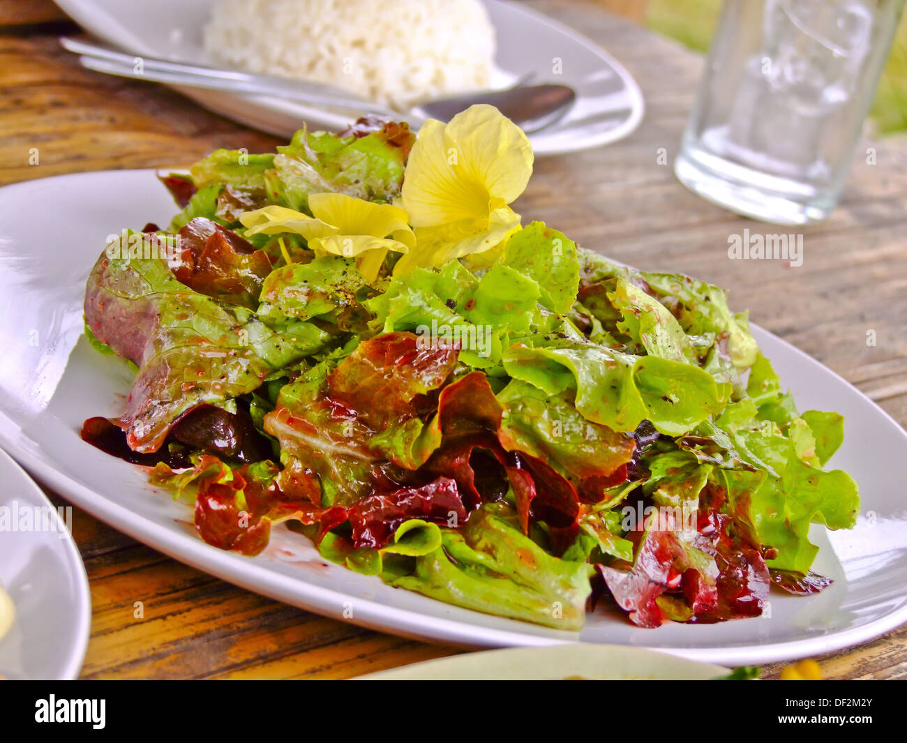 gemischter Salat im Stil der Thai northen Bergvolk Stockfoto