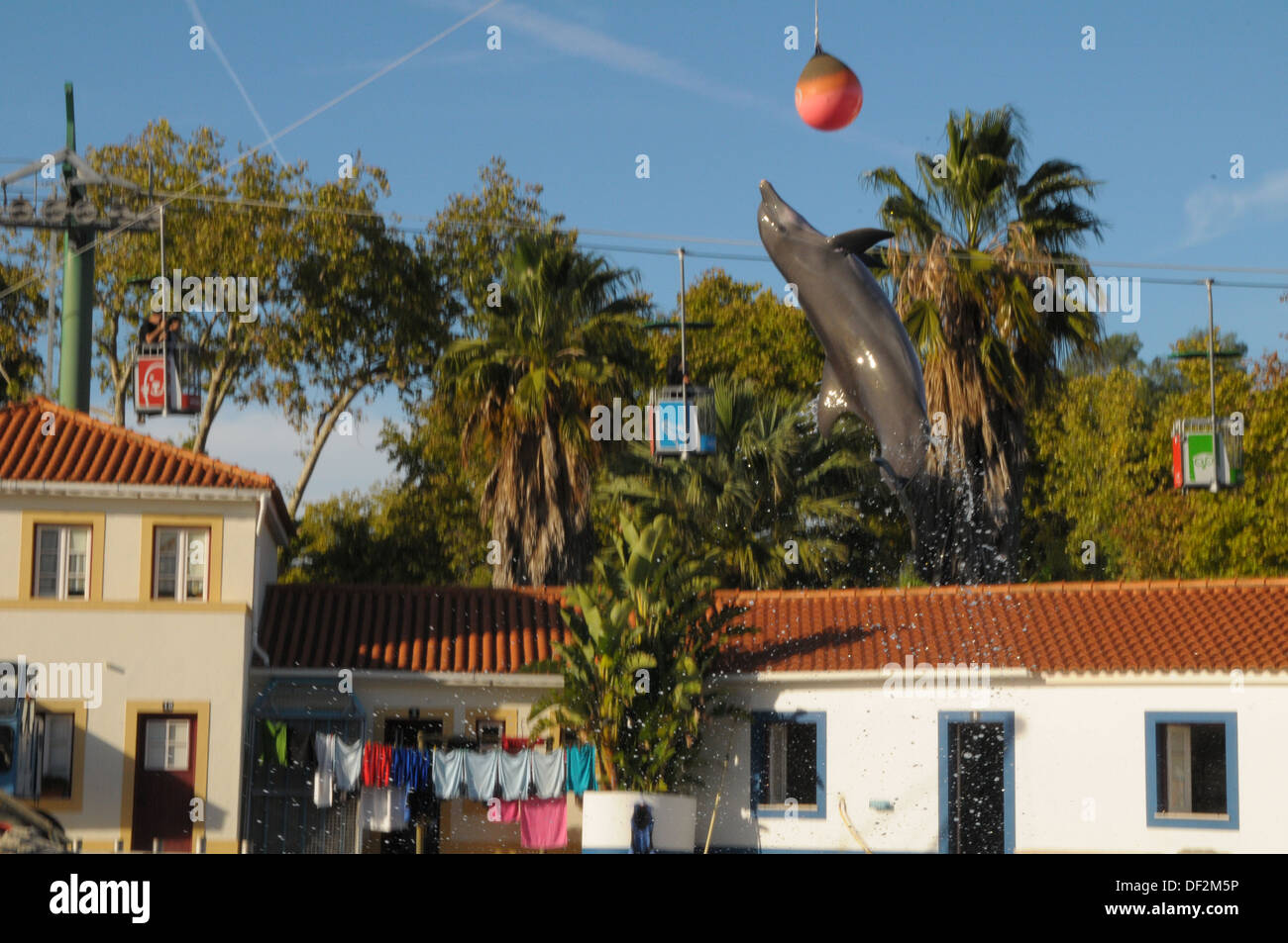 Zoo von Lissabon PORTUGAL Stockfoto