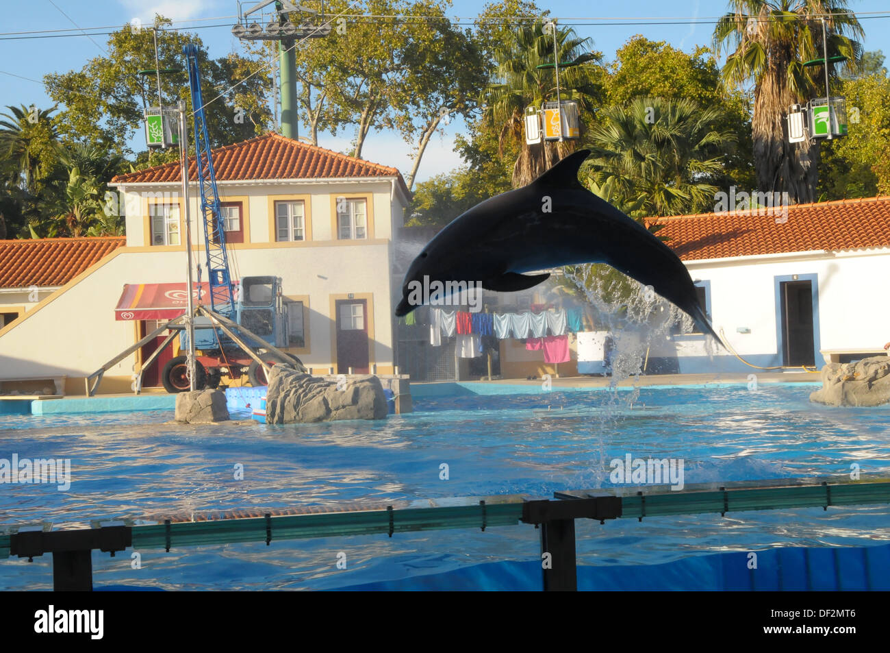 Zoo von Lissabon PORTUGAL Stockfoto