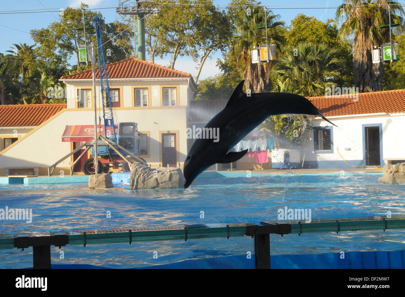 Zoo von Lissabon PORTUGAL Stockfoto