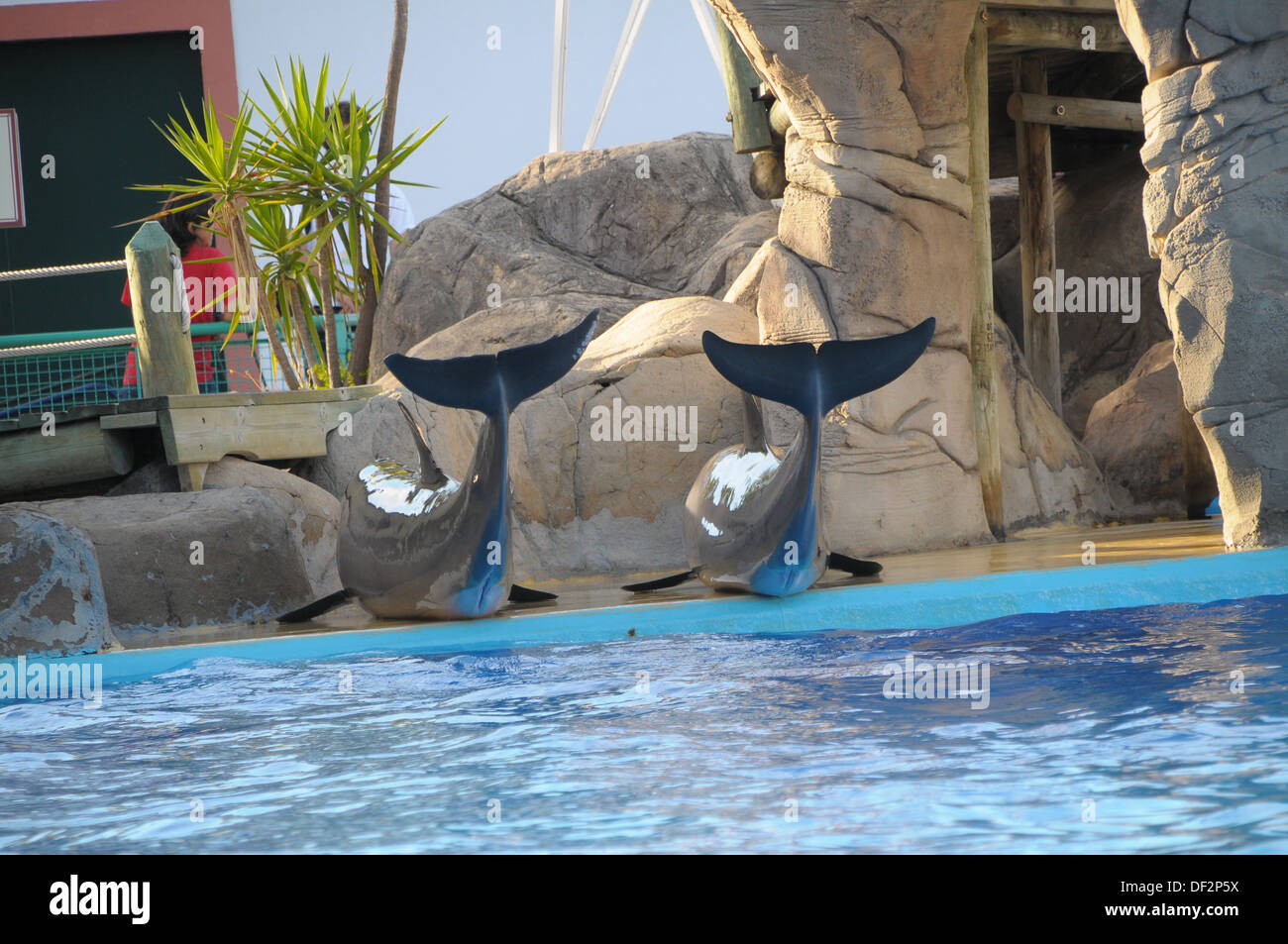 Zoo von Lissabon PORTUGAL Stockfoto