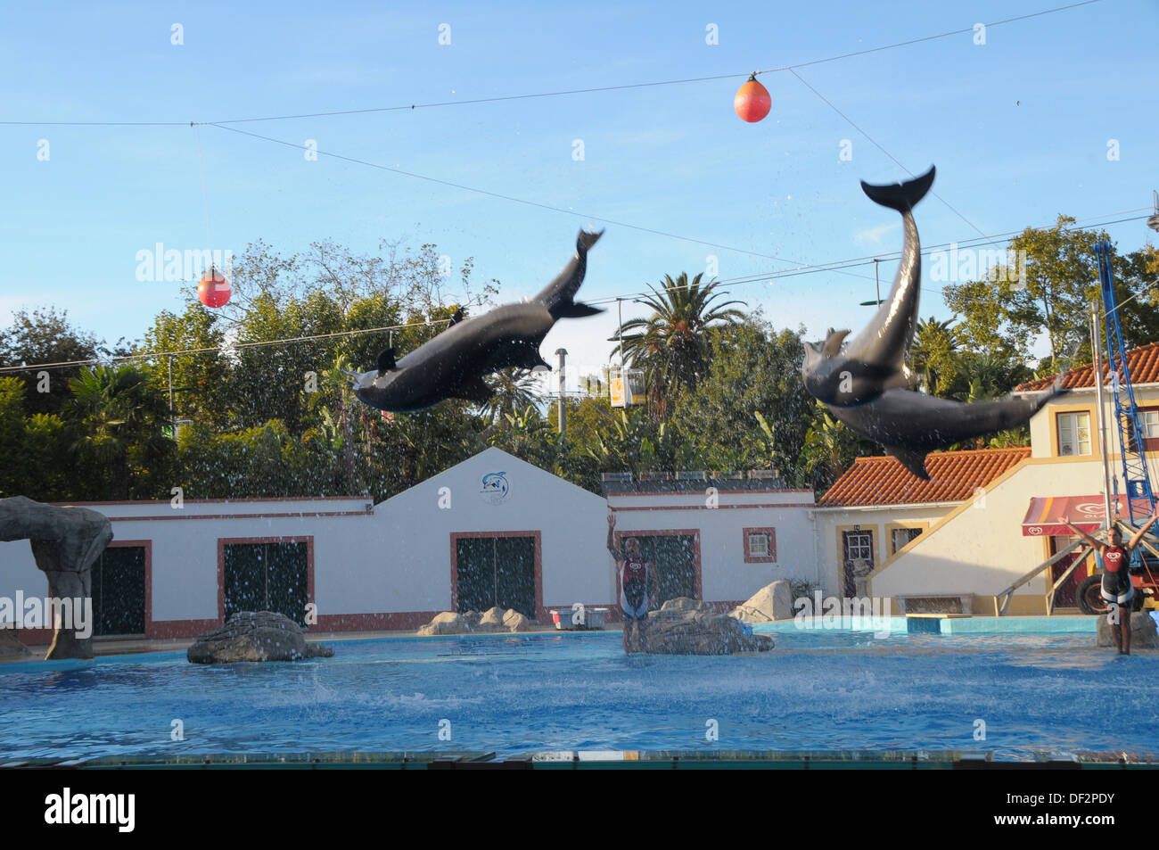 Zoo von Lissabon PORTUGAL Stockfoto