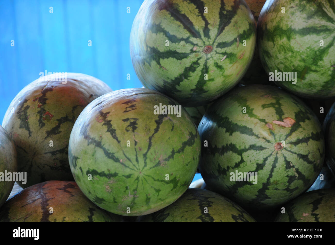 Curaçao Markt Wassermelone Stockfoto