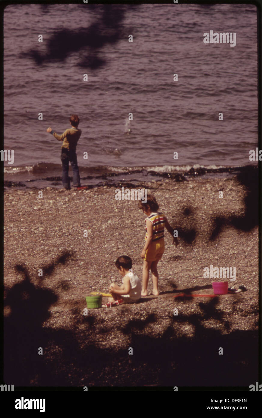 DER STRAND BEI LARRABEE STATE PARK AM NÖRDLICHEN PUGET SOUND 552341 Stockfoto