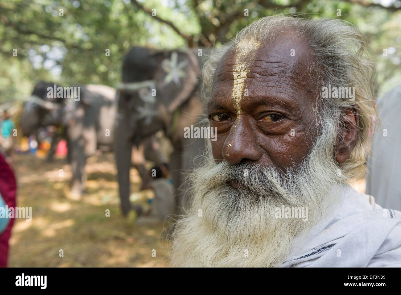 Ältere männliche Pilger mit weißem Bart, mit Elefanten im Haathi Basar hinter Sonepur Mela, Sonepur, Bihar, Indien Stockfoto