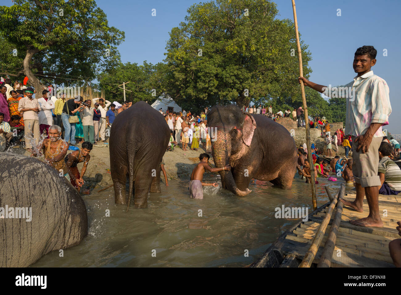 Bootsmann beobachten Mahouts Baden ihre Elefanten in den Fluß Gandak, mit den Pilgern, die gerade von der Bank Sonepur Mela, Sonepur, Bihar, Indien Stockfoto