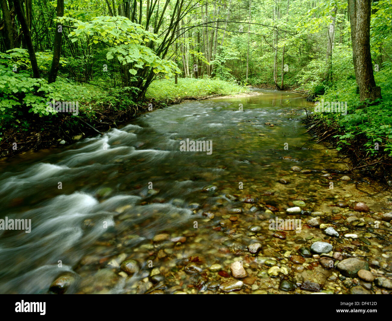 Fluss in den Wald. Suwalki Region, Nord-Ost Polen Stockfoto