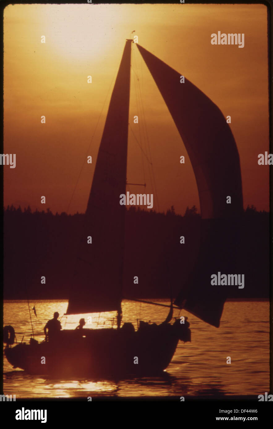 Dieses Foto zeigt ein Segelboot-Rennen auf dem Puget Sound, das von Mitgliedern des Tacoma Yacht Club organisiert wurde. Das Rennen findet am Abend mit leichtem Wind statt, und das Spinnakersegel wird für zusätzliche Geschwindigkeit eingesetzt. Stockfoto