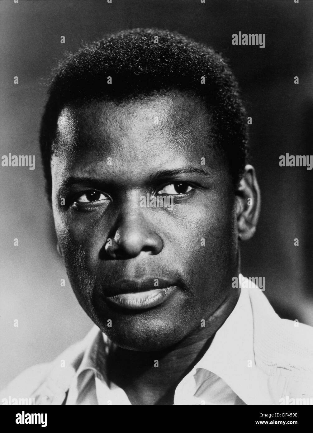 Sidney Poitier, Porträt, auf - der Film "A Patch Of Blue", Metro-Goldwyn-Mayer, 1965 Stockfoto