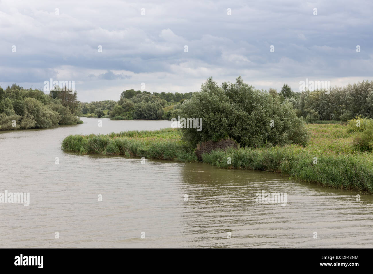 Sumpf des Nationalparks "De Biesbosch" in den Niederlanden Stockfoto