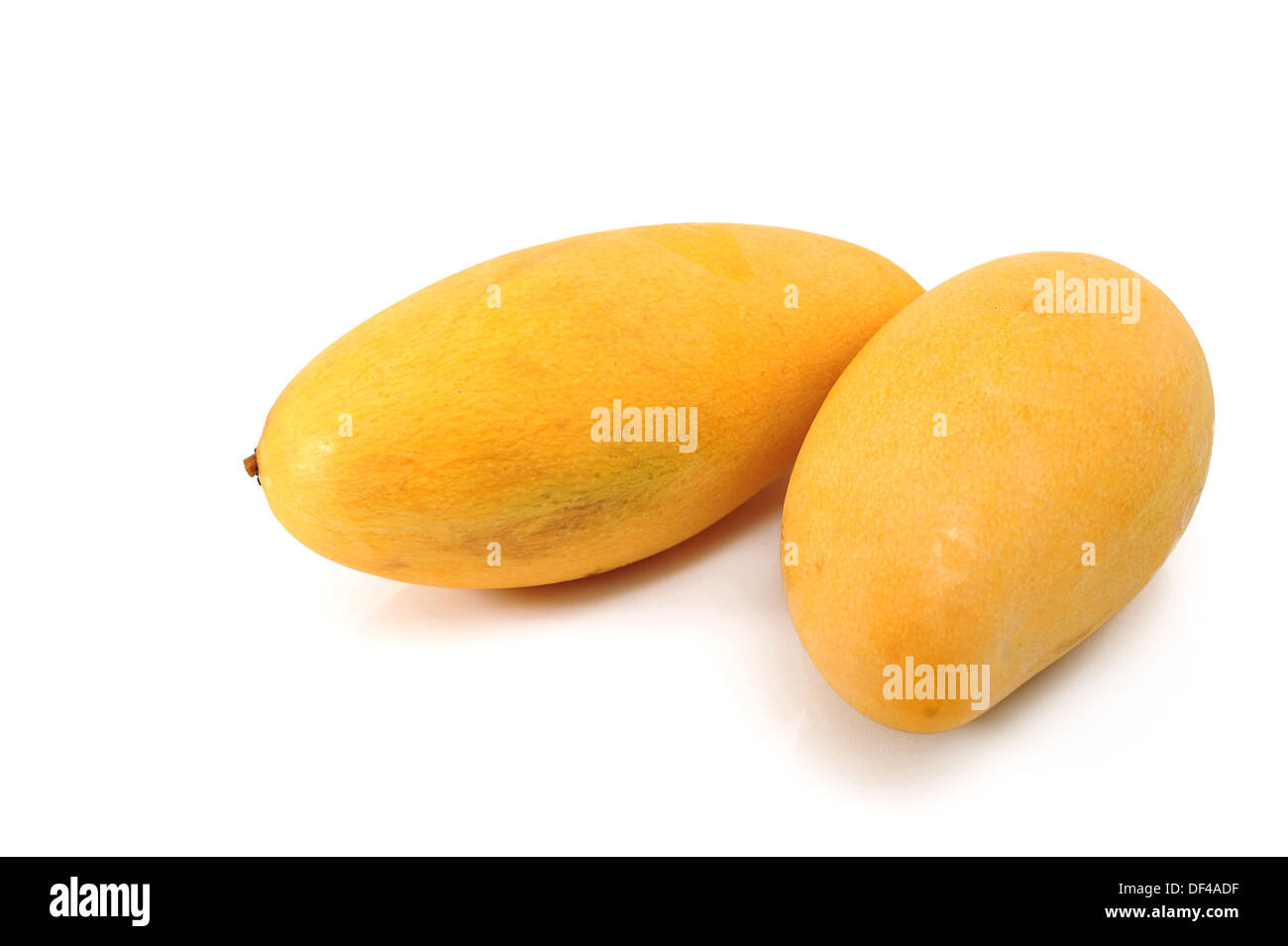 Gelben Mangos Stockfoto