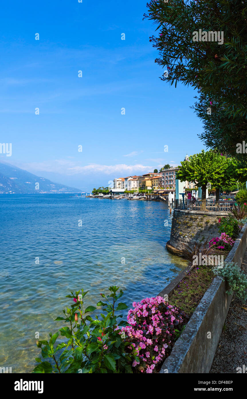 Comer See. Die Lakefront in Bellagio, Italienische Seen, Lombardei, Italien Stockfoto