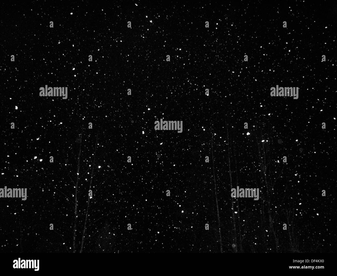 Schneeflocken gegen schwarzen Himmel, Low Angle View Stockfoto