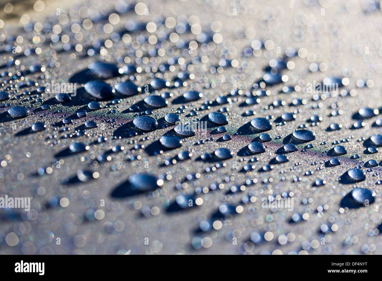 Nahaufnahme Makroaufnahme von Wassertropfen Stockfoto