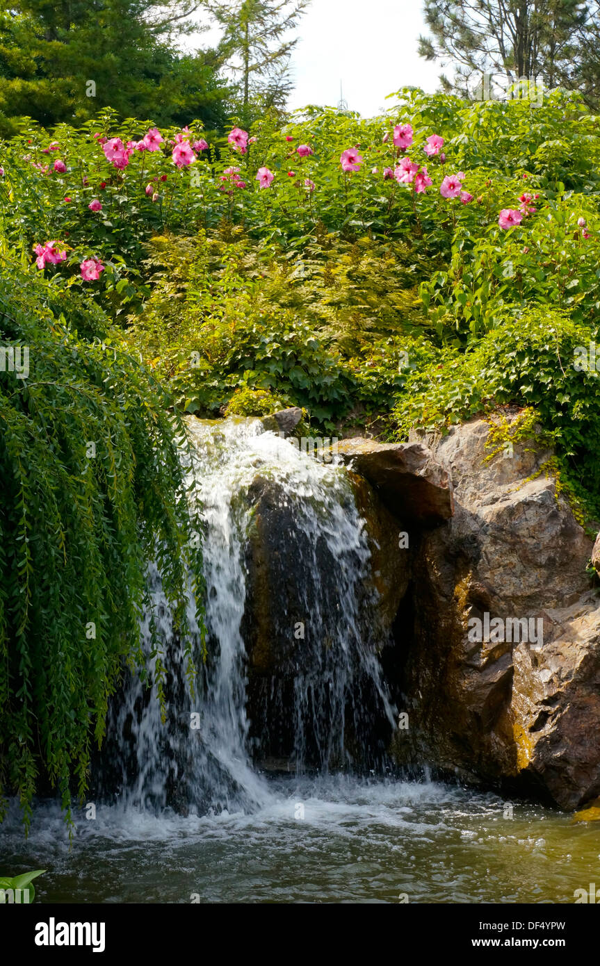 Wasserfall Am Chicago Botanic Garden In Glencoe Illinois