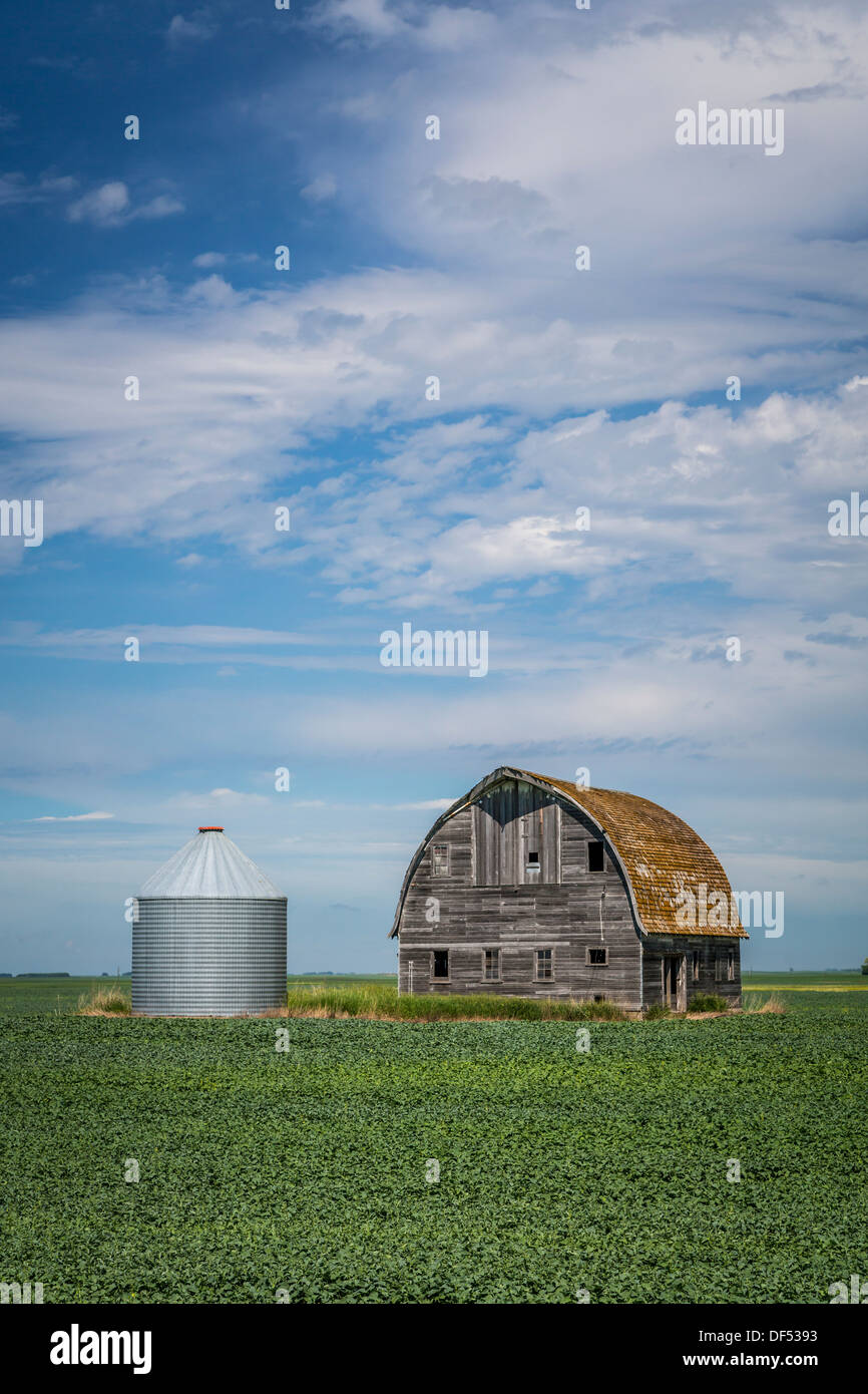 Eine alte Scheune und ein Bauernhof Silo auf eine Prärie-Feld in der Nähe von Langdon, North Dakota, USA. Stockfoto