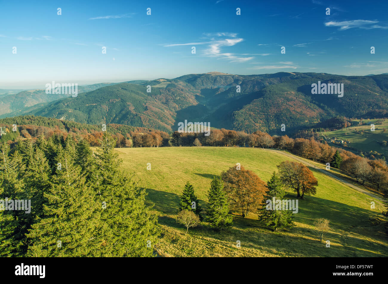 Der Schwarzwald von einem Aussichtsturm Stockfoto