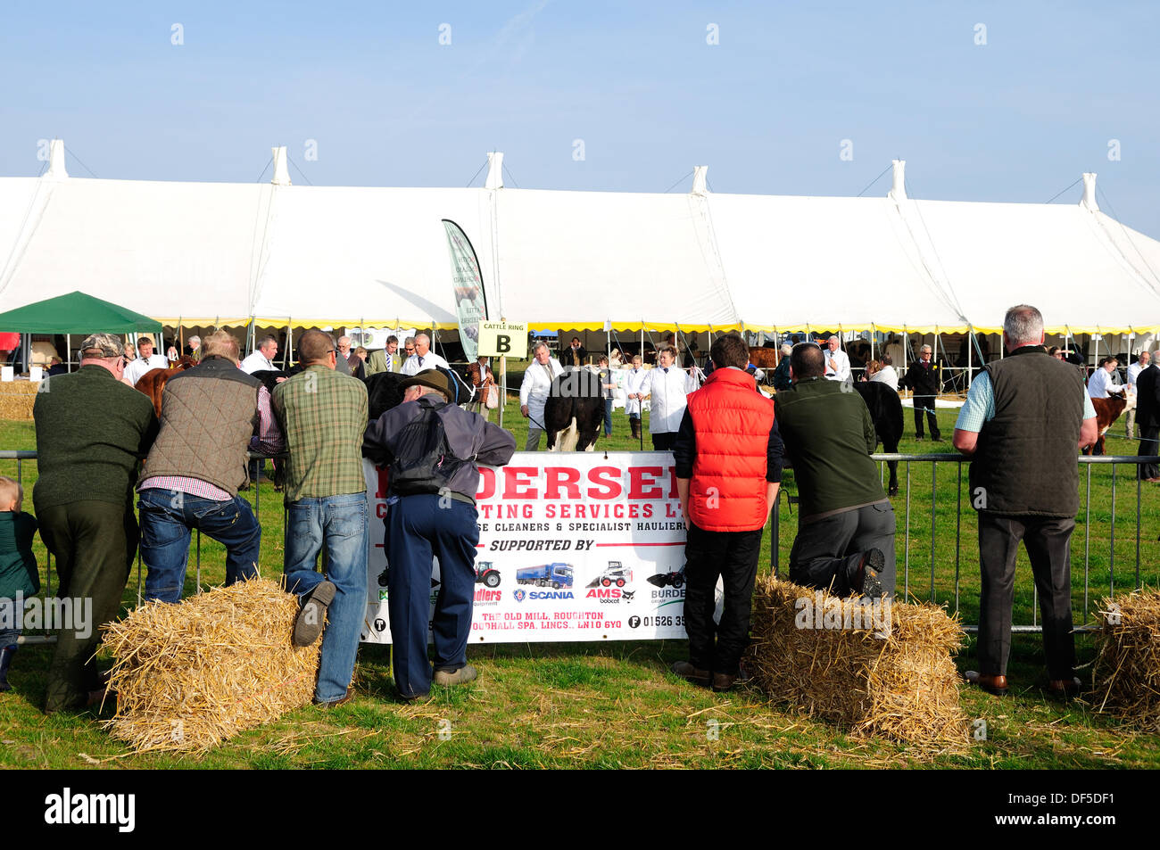 Ravenshead, Notts, UK.28th September 2013.die Annaul Agricultural eines Tages zeigen eröffnet heute bei Ravenshead, Featuring Pflügen Match, Pferd, Vieh, Blumen und Gemüse. Alle unter schönen blauen Himmel und warme herbstlichen Wetter. Bildnachweis: Ian Francis/Alamy Live-Nachrichten Stockfoto
