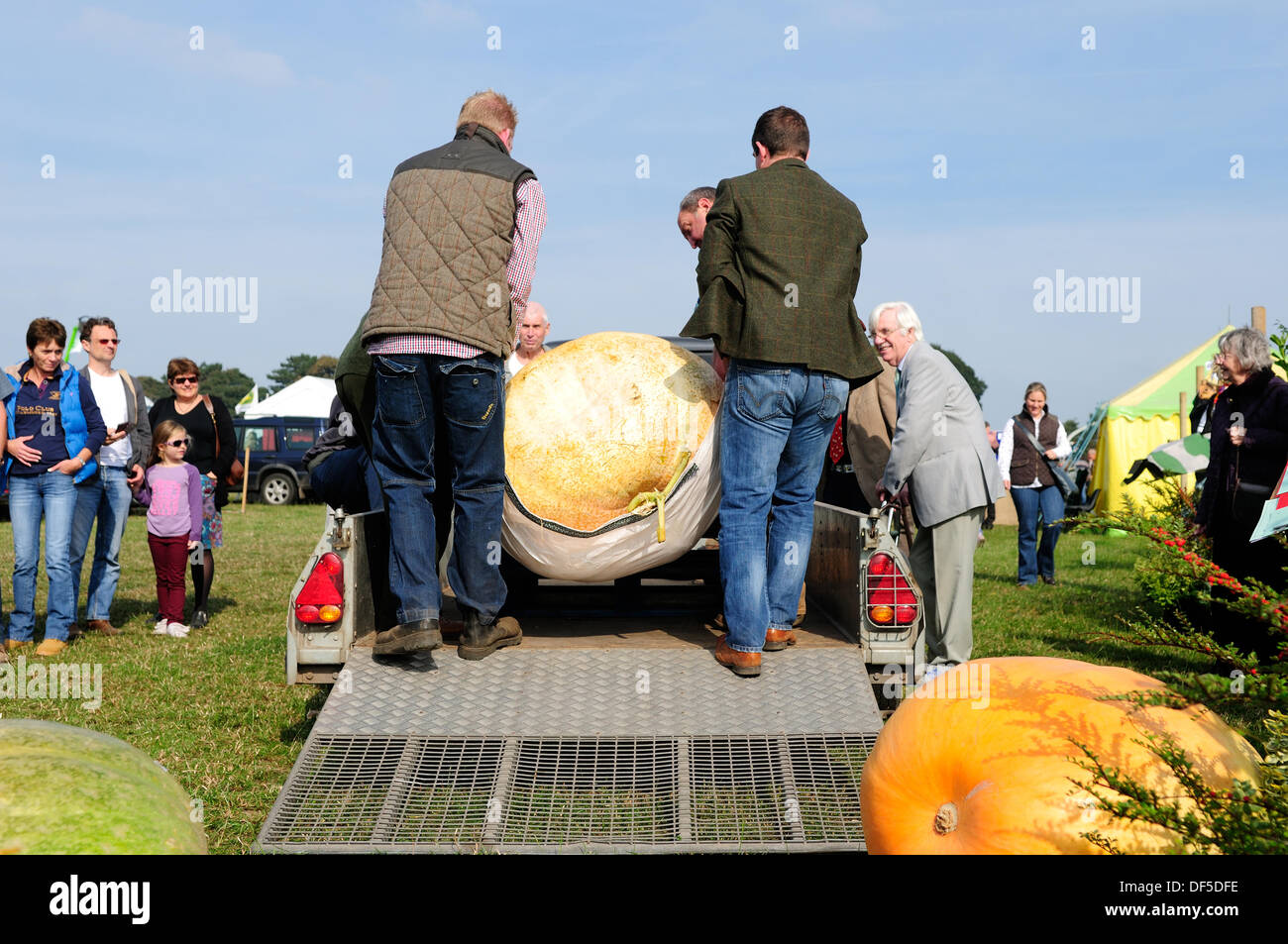 Ravenshead, Notts, UK.28th September 2013.die Annaul Agricultural eines Tages zeigen eröffnet heute bei Ravenshead, Featuring Pflügen Match, Pferd, Vieh, Blumen und Gemüse. Alle unter schönen blauen Himmel und warme herbstlichen Wetter. Bildnachweis: Ian Francis/Alamy Live-Nachrichten Stockfoto