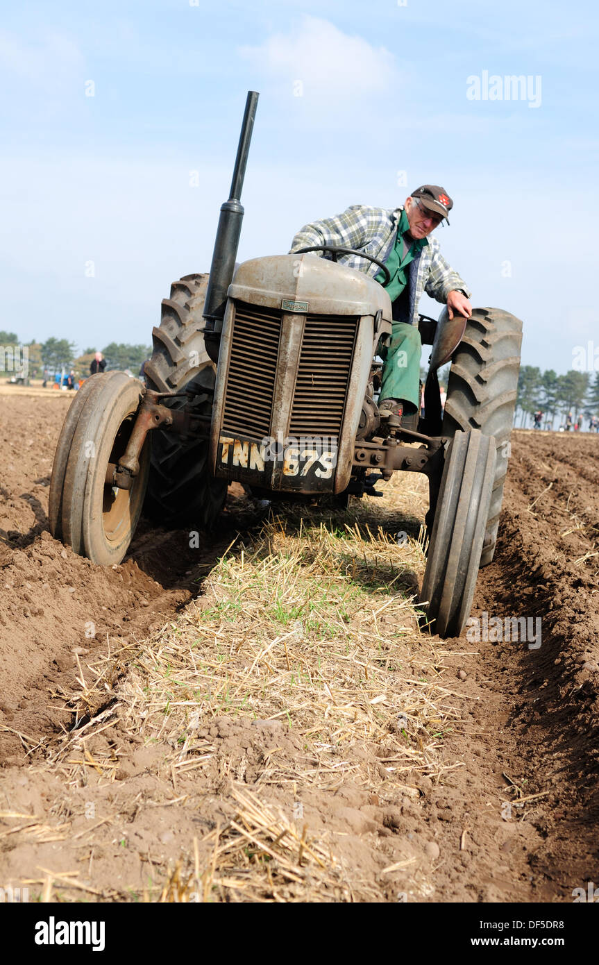 Ravenshead, Notts, UK.28th September 2013.die Annaul Agricultural eines Tages zeigen eröffnet heute bei Ravenshead, Featuring Pflügen Match, Pferd, Vieh, Blumen und Gemüse. Alle unter schönen blauen Himmel und warme herbstlichen Wetter. Bildnachweis: Ian Francis/Alamy Live-Nachrichten Stockfoto