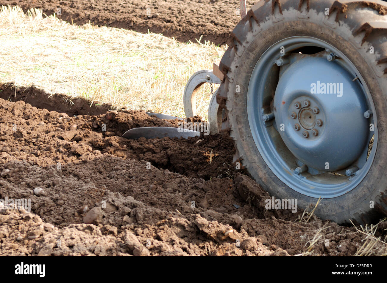 Ravenshead, Notts, UK.28th September 2013.die Annaul Agricultural eines Tages zeigen eröffnet heute bei Ravenshead, Featuring Pflügen Match, Pferd, Vieh, Blumen und Gemüse. Alle unter schönen blauen Himmel und warme herbstlichen Wetter. Bildnachweis: Ian Francis/Alamy Live-Nachrichten Stockfoto