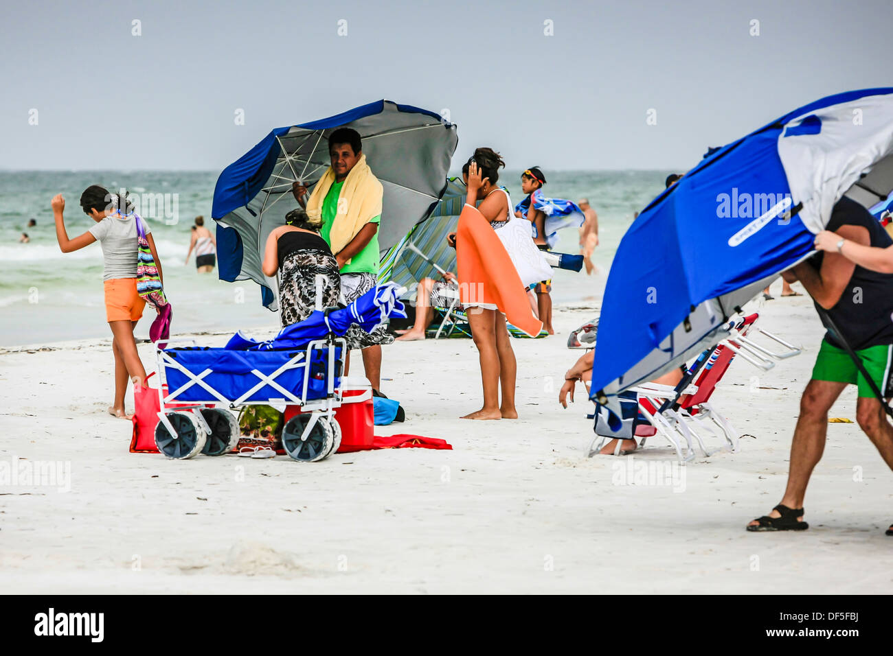 Menschen, die versuchen, Sonnenschirme fallen während eines Sturms auf Siesta Key beach Florida Stockfoto