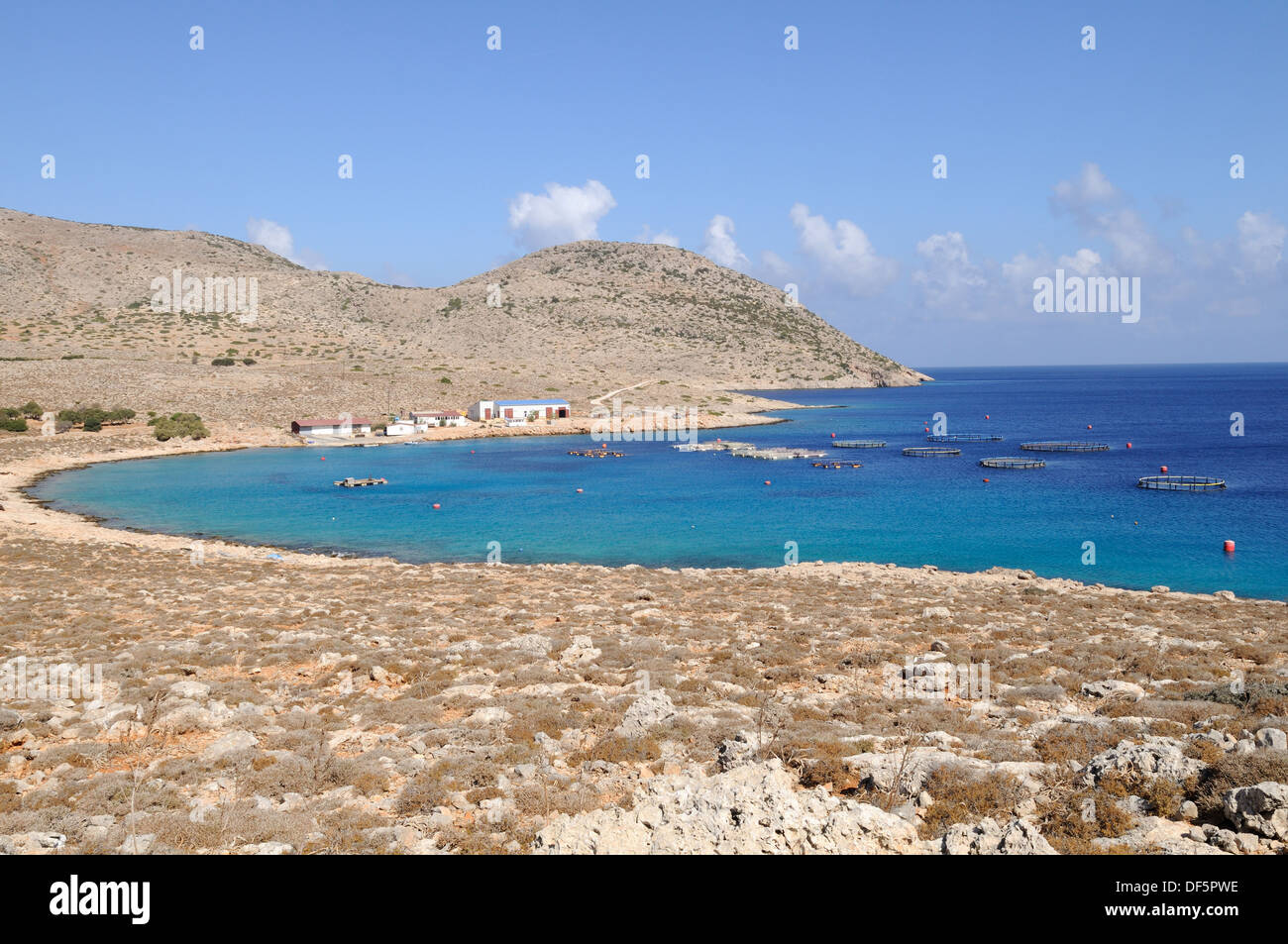 Eine Fischfarm in einer Bucht auf der griechischen Insel Chalki Chalki Ägäis die Dodekanes Griechenland Stockfoto