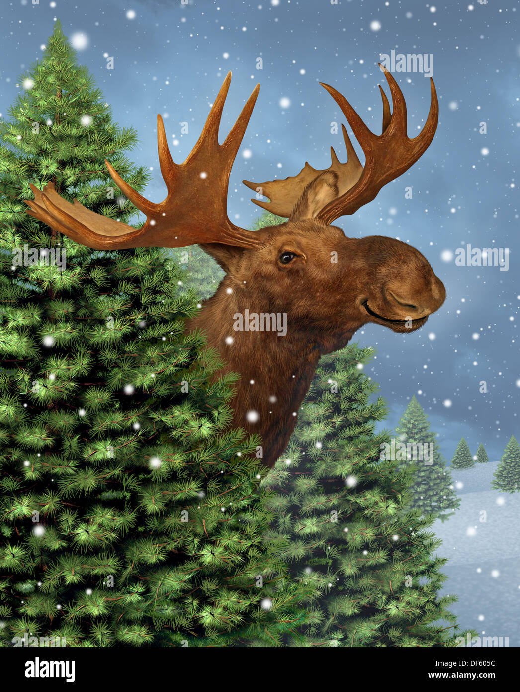 Winter-Elch versteckt sich hinter einer Gruppe von Berg-Kiefern, wie Schnee als Natur und Wildnis Konzept mit einem glücklichen Lächeln auf den Lippen pelzigen Freund nördlichen Tier für die Ferienzeit oder Weihnachtskarte herunterfallen. Stockfoto