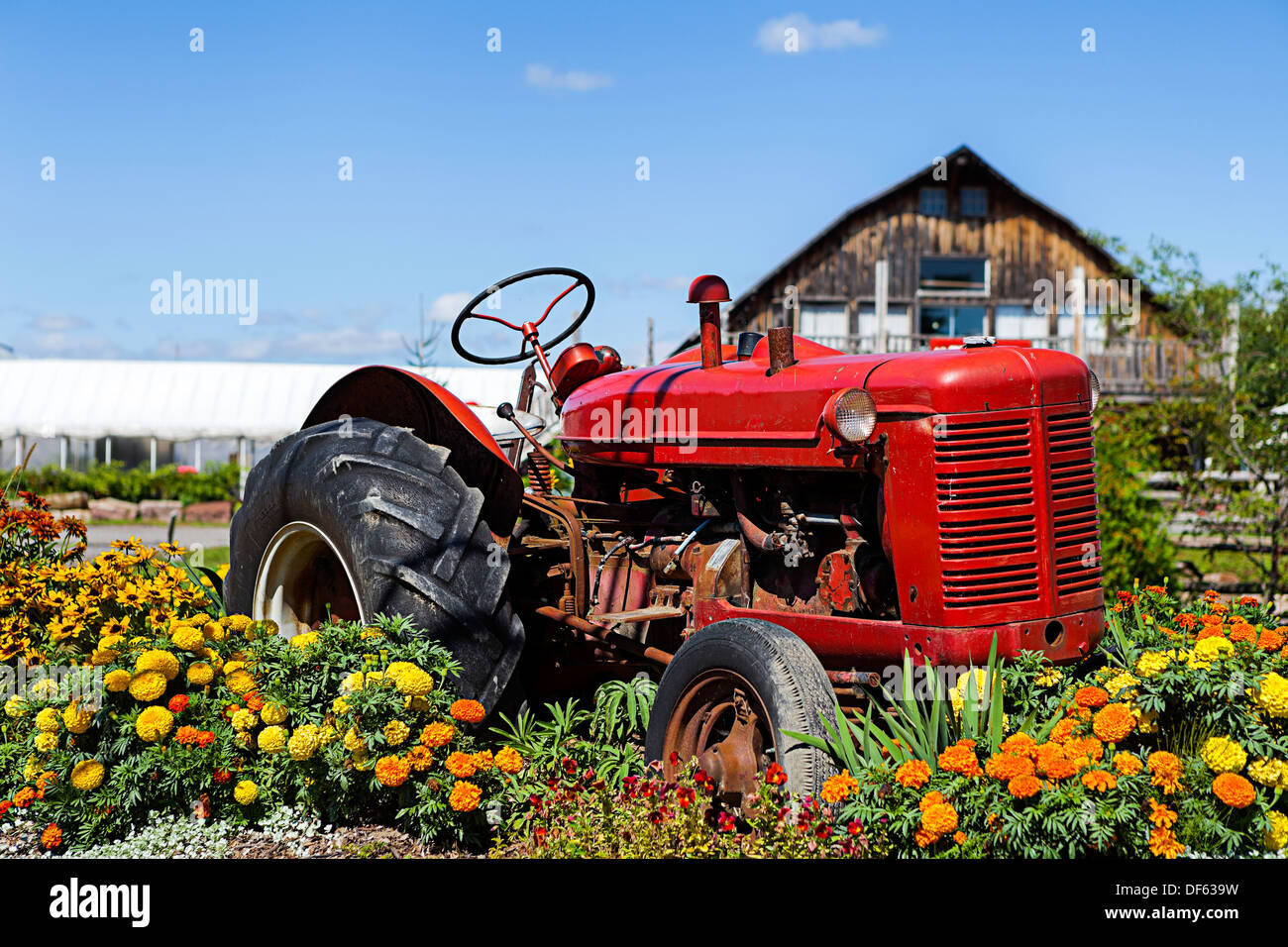 Bauernhof Traktor, Landwirtschaft, Frühling, Landarbeit, Stockfoto