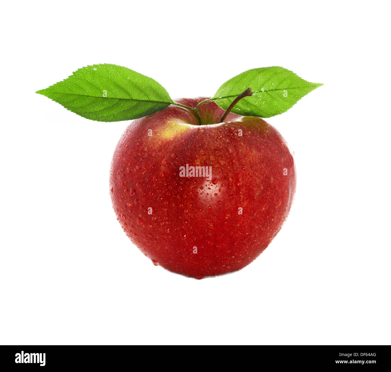 frisch und feucht roten Apfel mit grünen Blättern mit Wasser isoliert auf weißem Hintergrund Stockfoto