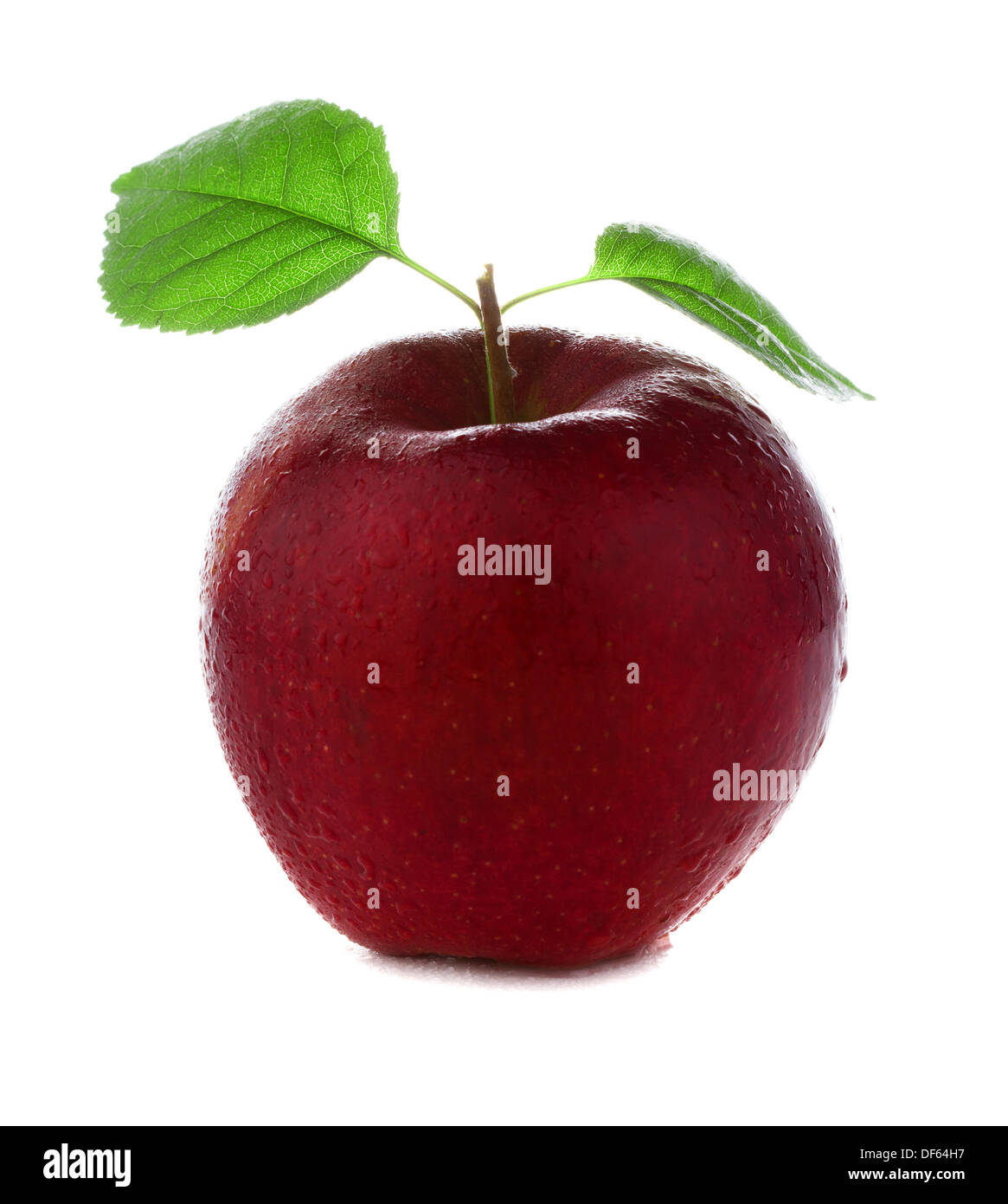 frisch und feucht rot rosa Apfel mit grünen Blättern mit Wasser isoliert auf weißem Hintergrund Stockfoto