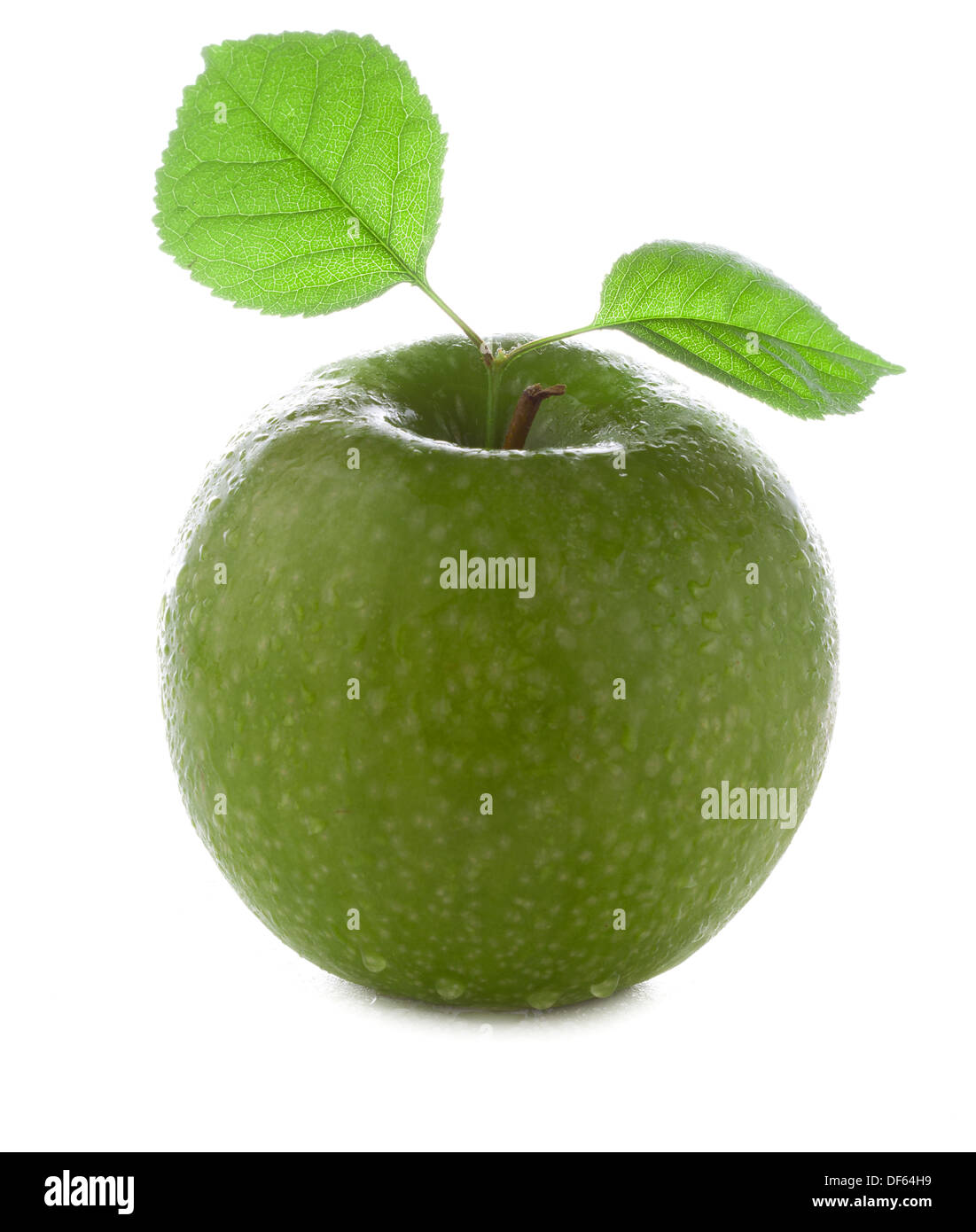 Frische und feuchte grüner Apfel mit grünem Blatt mit Wasser und Tropfen auf einem weißen Hintergrund isoliert Stockfoto