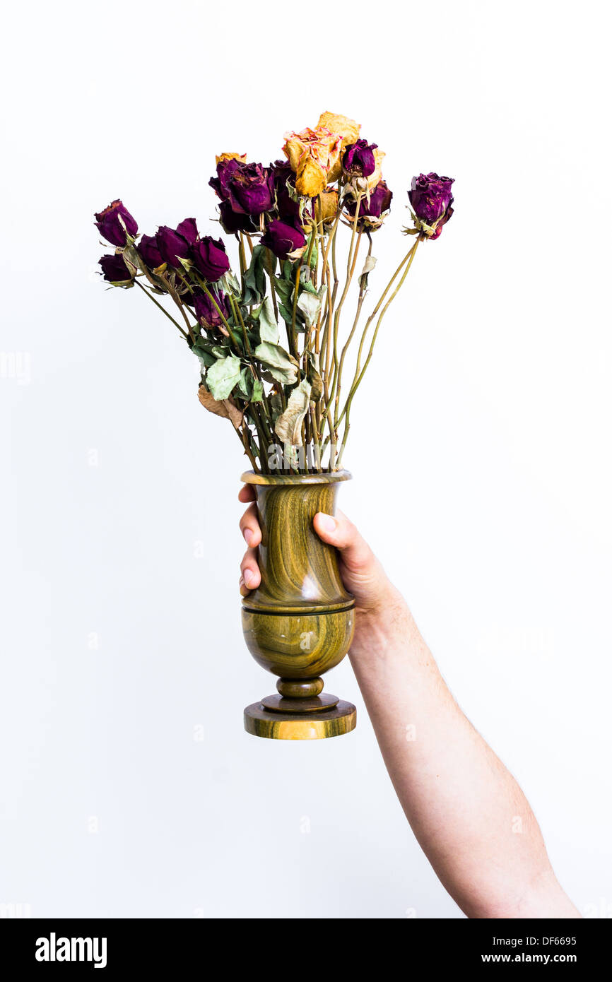 Hand hält eine Holzvase toten Blumen auf weißem Hintergrund Stockfoto