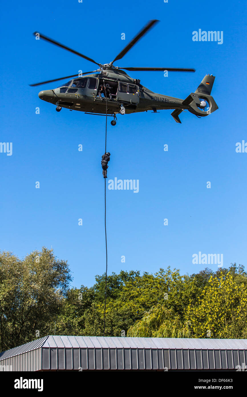 Polizei SWAT-Team, schnelle Abseilen von einem Polizeihubschrauber. Stockfoto