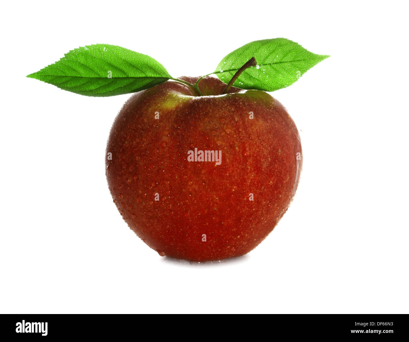frisch und feucht roten Apfel mit grünen Blättern mit Wasser isoliert auf weißem Hintergrund Stockfoto