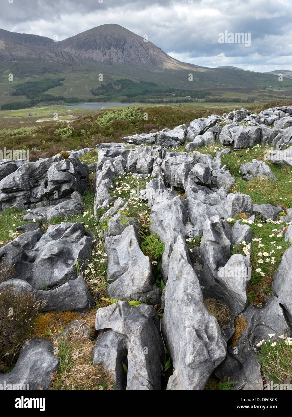 Kränze und Grykes in verwittertem Dolostein / Kalkstein Pflasterstein mit Red Cuillin Mountain dahinter, Strath Suardal, Isle of Skye, Schottland, Großbritannien Stockfoto