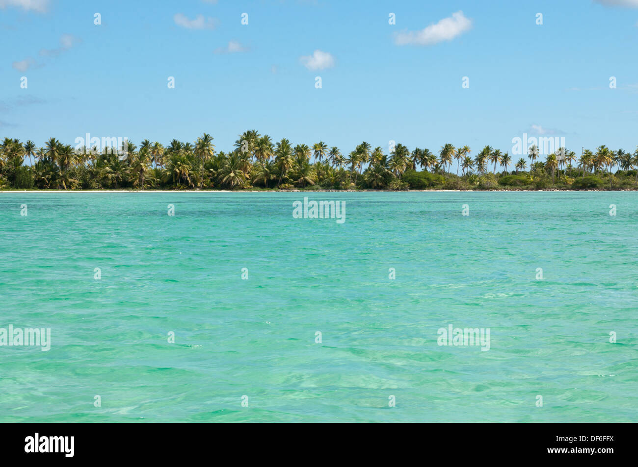 Isla Saona, Republica Dominicana, Caribbean. Stockfoto