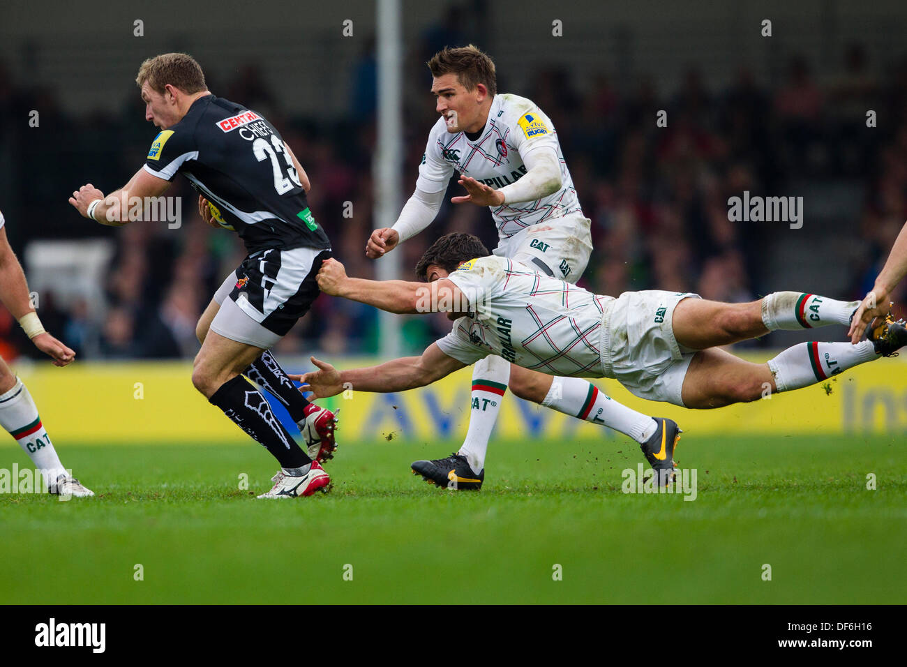 Exeter, UK. 29. September 2013. Aktion während der Aviva Premiership Runde 4-Partie zwischen Exeter Chiefs und Leicester Tigers spielte in Sandy Park, Exeter Stockfoto