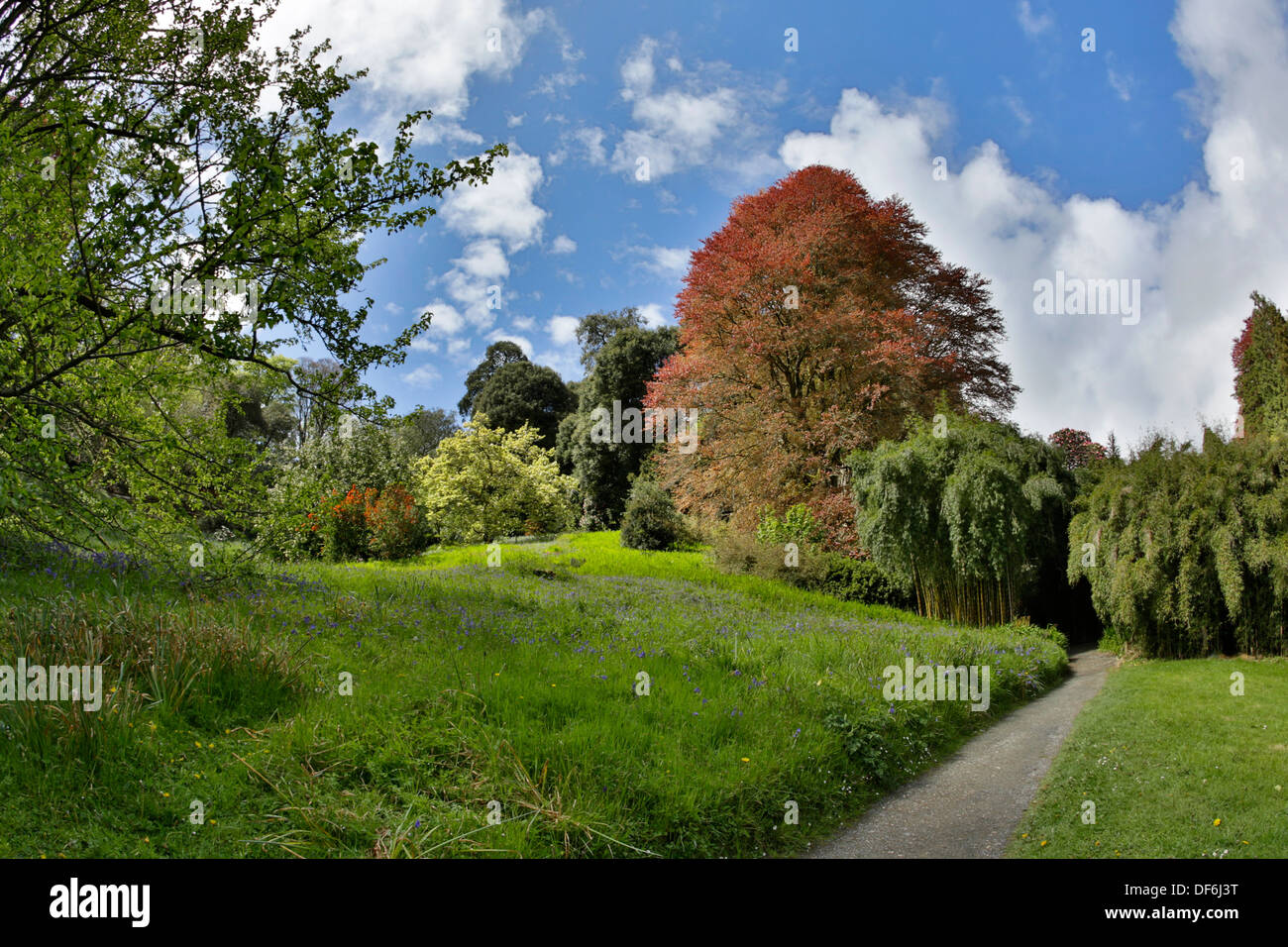 Trebah Garden; Cornwall; UK Stockfoto