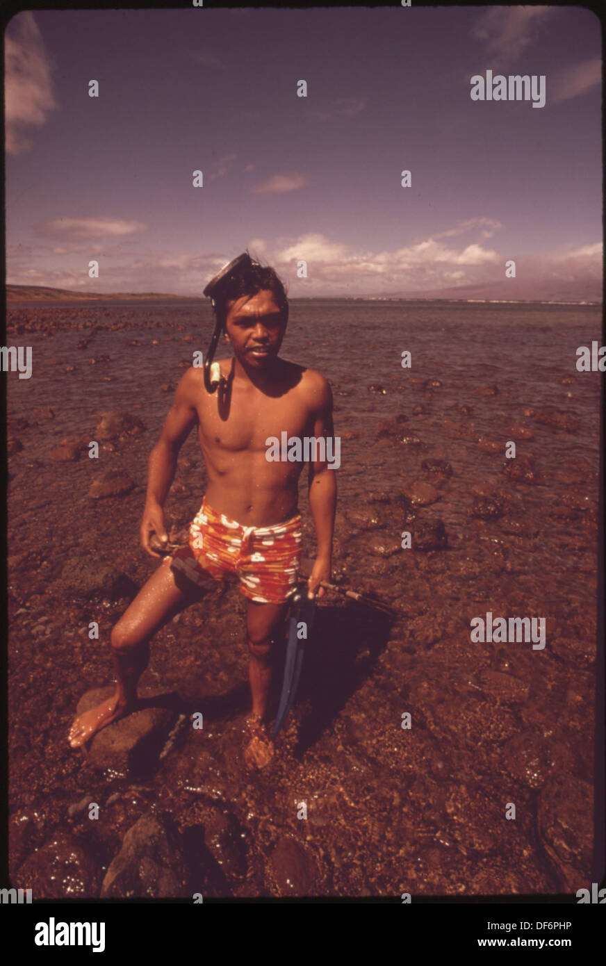 Samstags tauchen Schüler aus Lanai City nach Tintenfisch, einer wertvollen Delikatesse, die auf lokalen Märkten zu einem guten Preis verkauft werden kann und die traditionellen Praktiken der Region widerspiegelt. Stockfoto