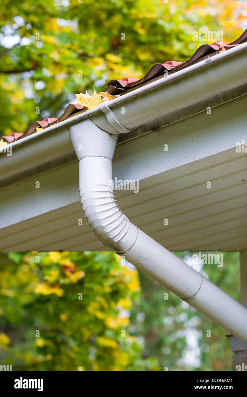 Marple lässt in der Gosse, Abfallzeit, Hochformat Stockfoto