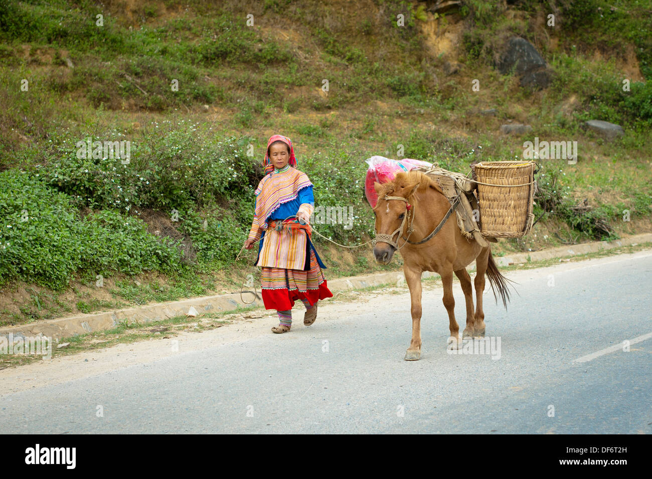 Eine Blume Hmong-Frau und ihrem Lastesel Fuß die Straße hinunter in Bac Ha, Provinz Lao Cai, Vietnam. Stockfoto