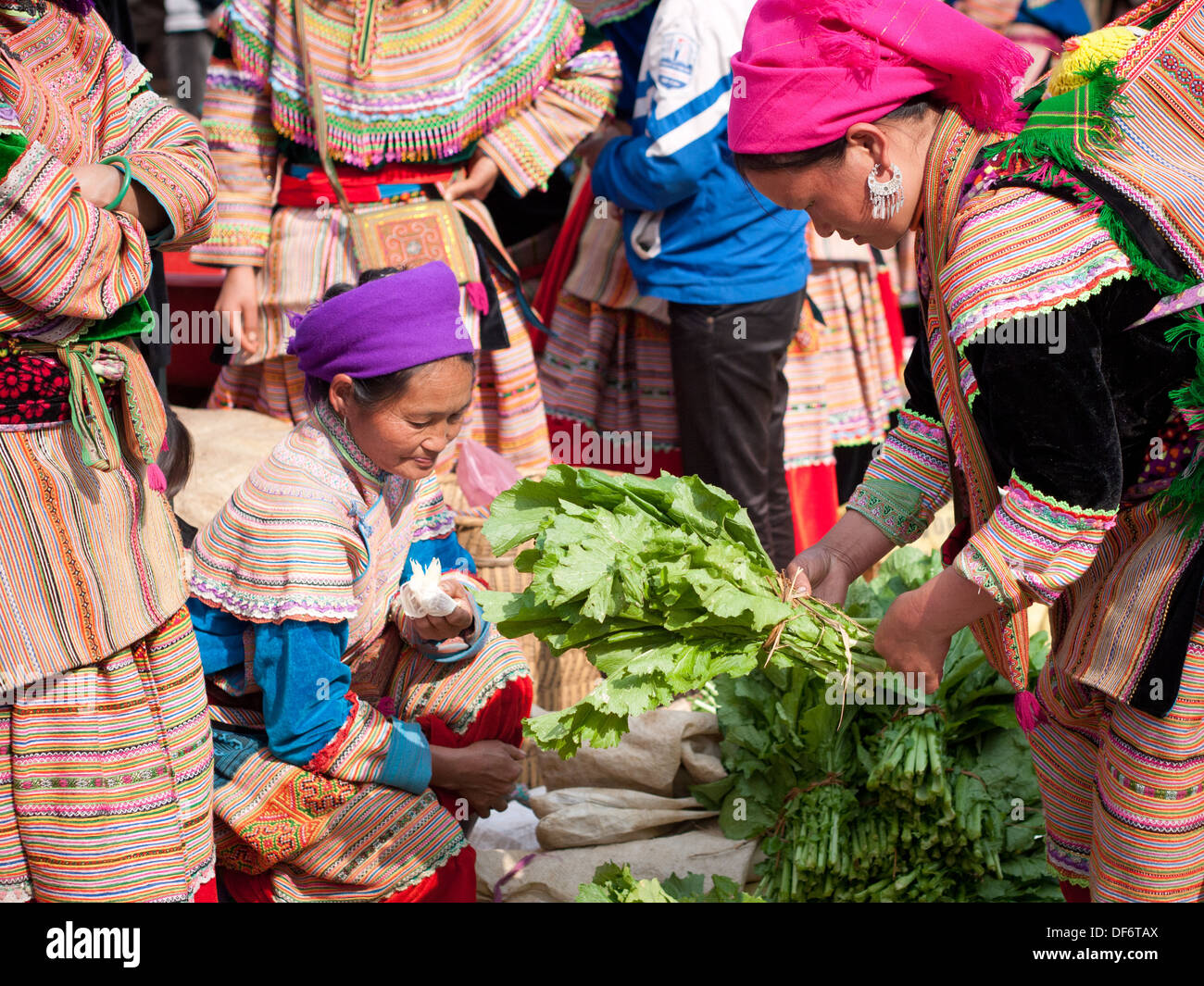 Eine Hmong Frau kauft Gemüse Grüns am Sonntagmorgen Bac Ha Markt in Bac Ha, Lao Cai, Vietnam. Stockfoto