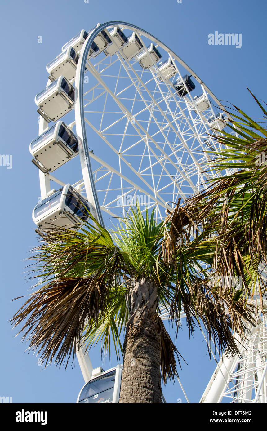 Pensacola Beach-Riesenrad Stockfoto