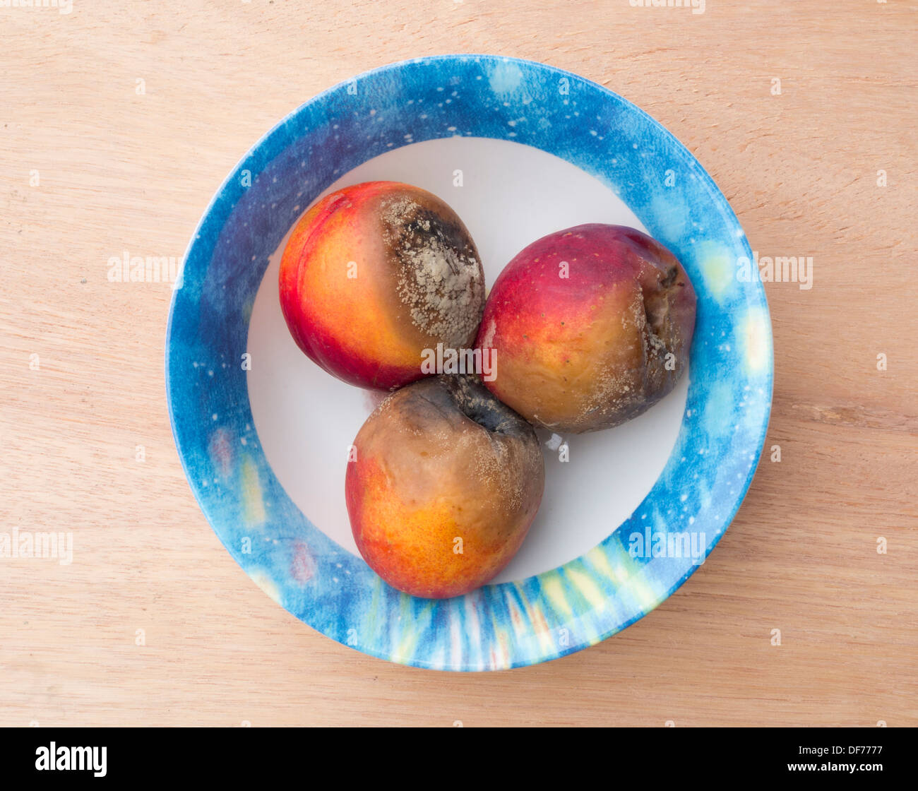 Drei schimmeln Nektarinen in Schüssel geben. Stockfoto