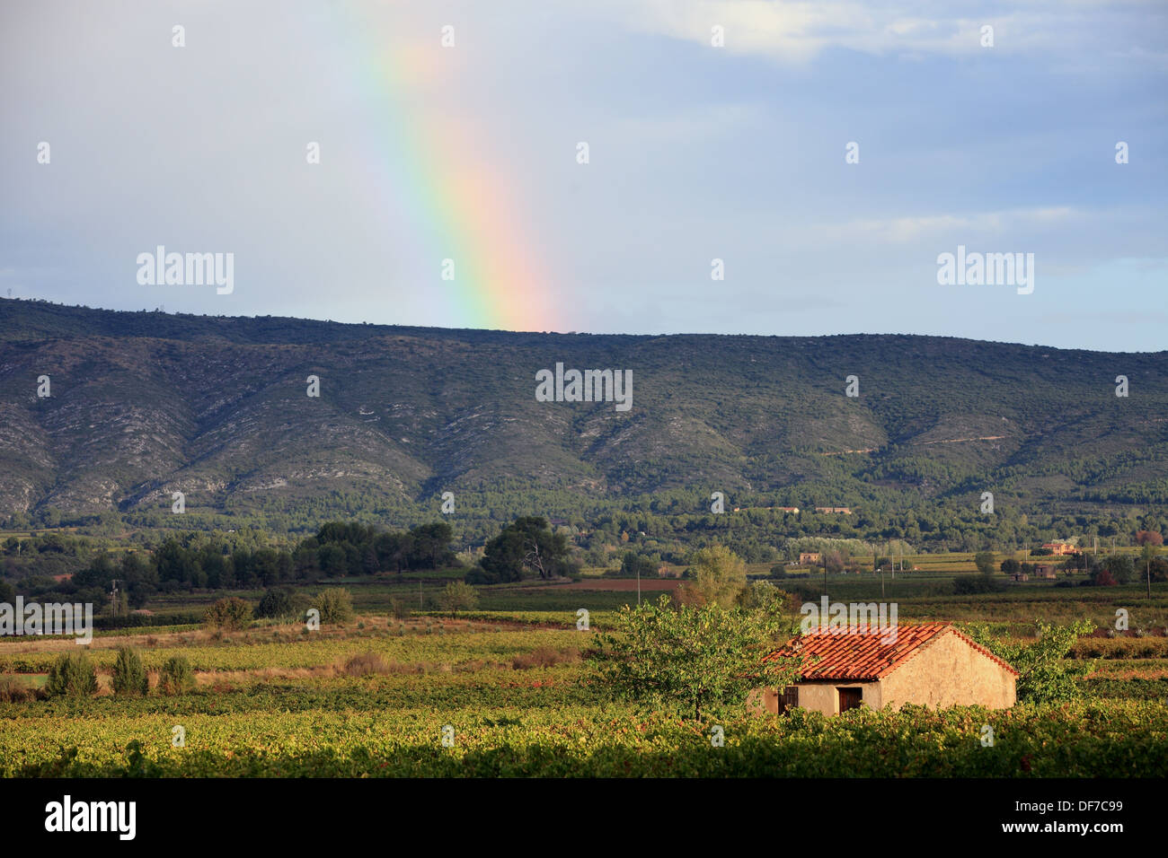 Die Montagne Sainte Victoire in Bouches-du-Rhône. Frankreich Stockfoto