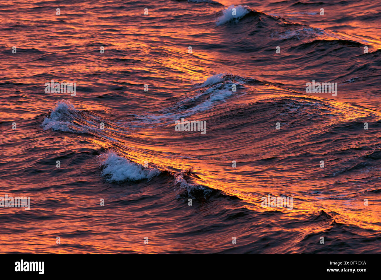 Wellen im Abendlicht, Nordpolarmeer, Spitzbergen Insel, Spitzbergen, Svalbard und Jan Mayen, Norwegen Stockfoto